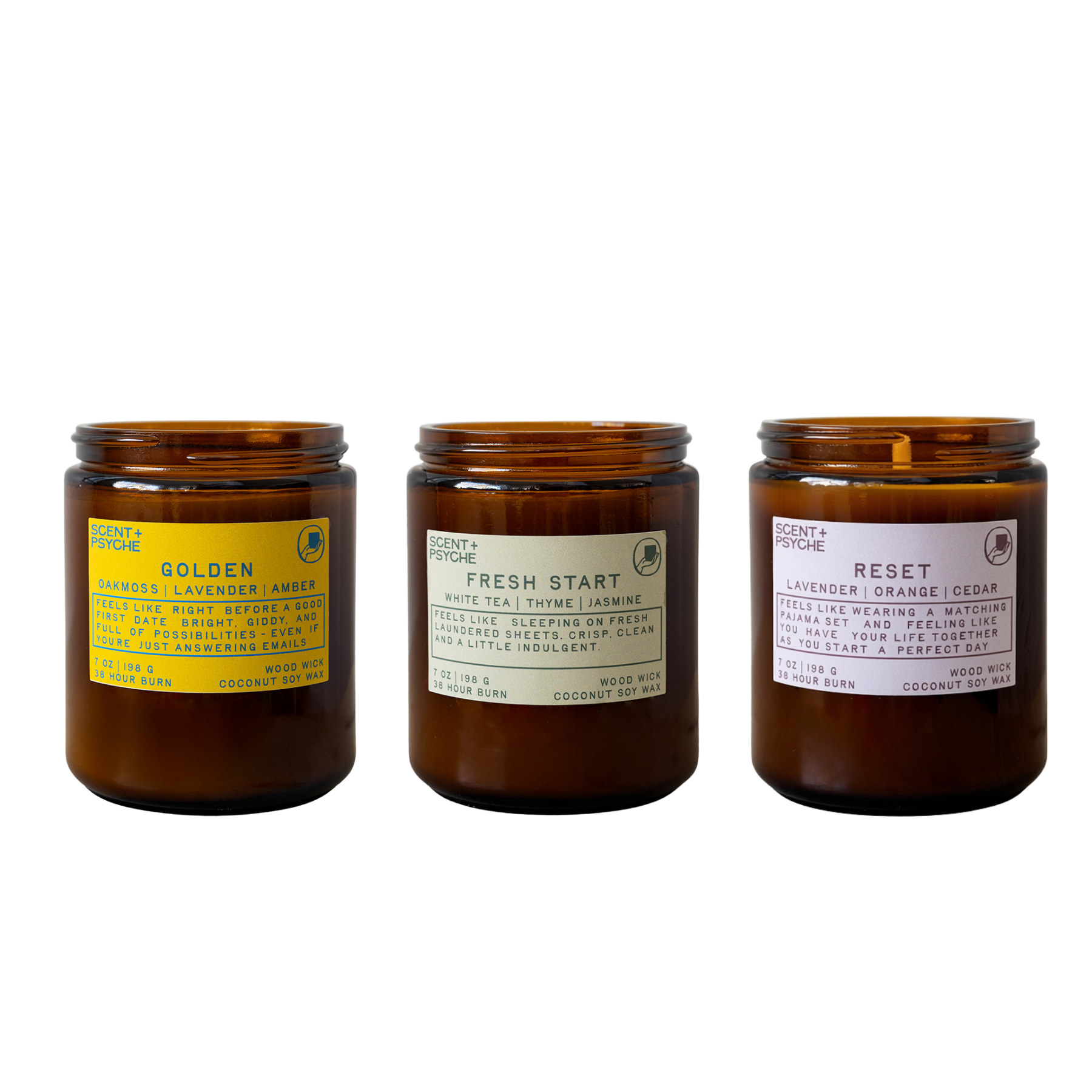 Energizing + Fresh Scented Candle Bundle | Signature Size candles on a white background, labeled Golden, Fresh Start, and Reset by Santa Cruz Candle Co.