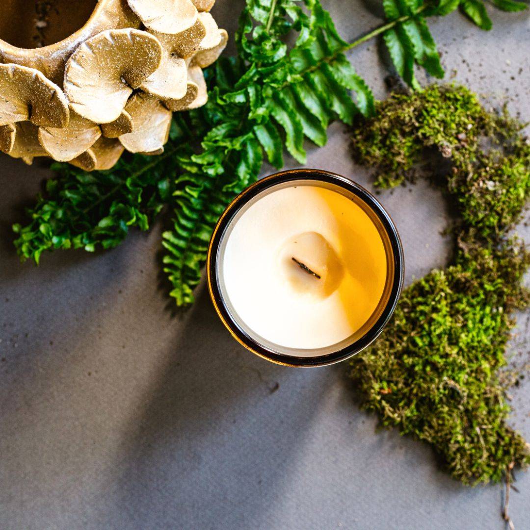 Top view of Forest Scented Candle in a 7oz amber jar, featuring a smooth coconut soy wax blend for a calming, nature-inspired aroma.