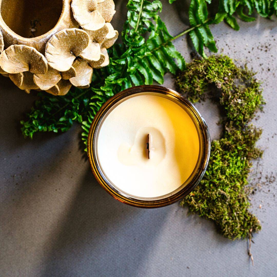 Top view of the Forest Scented Candle in a 15oz amber jar, showcasing smooth coconut soy wax and a centered wooden wick for a clean burn.