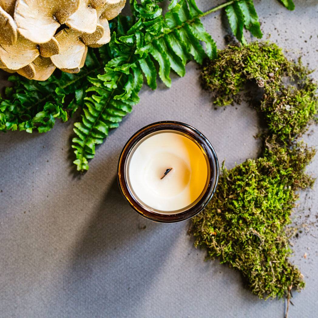 Top view of the Forest Scented Candle in a 4oz amber jar, featuring a coconut soy wax blend. Surrounded by moss and ferns for a natural aesthetic.