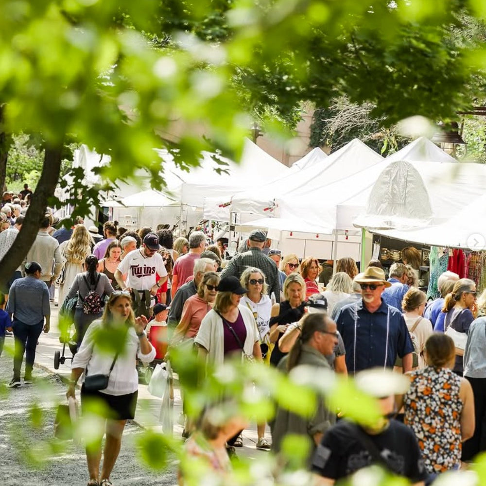 Edina Fall Into the Arts