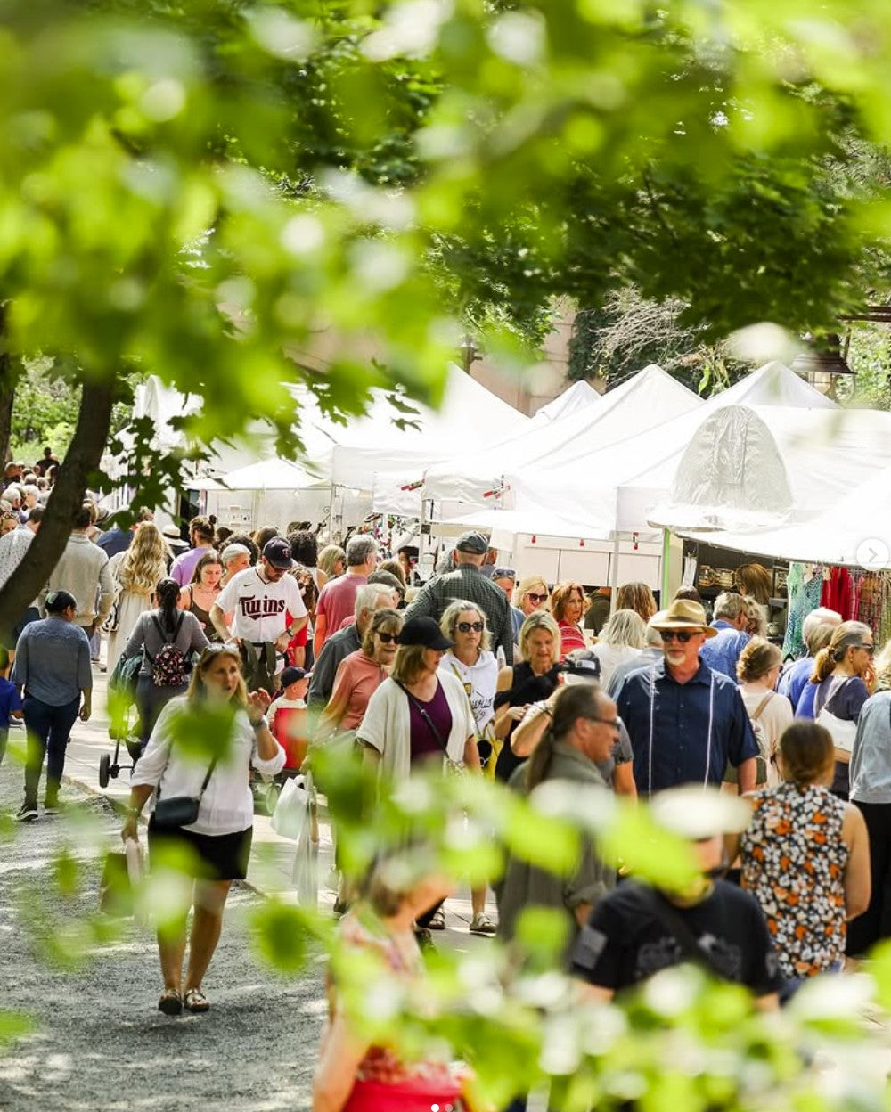 Edina Fall Into the Arts